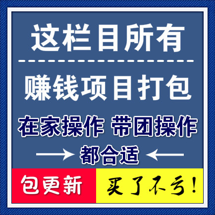 本站所有赚钱项目打包，小白投入不亏，教你怎么赚钱！包更新！